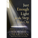 Just Enough Light for the Step I'm on: Trusting God in the Tough Times