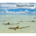 Wild Seas