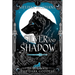 Silver and Shadow: The First Book of the Dark Goddess