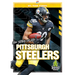 The Story of the Pittsburgh Steelers
