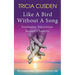 Like A Bird Without A Song: Soul Mates. Separation. Second Chances