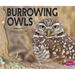 Burrowing Owls
