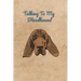 Talking To My Bloodhound