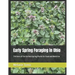 Early Spring Foraging in Ohio: Thirteen of the Earliest Spring Plants for Food and Medicine