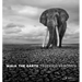 Walk the Earth: Photographs of Africa's Last Great Elephants