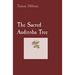 The Sacred Andiroba Tree