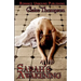 Sarah's Awakening