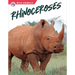 Rhinoceroses