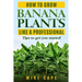 How to grow Banana Plants like a Professional: Beginner's guide and tips to get you started
