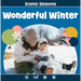 Wonderful Winter
