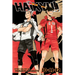 Haikyu!! (3-In-1 Edition), Vol. 4: Includes Vols. 10, 11 & 12
