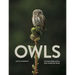 Owls: Nocturnal Birds of Prey from Around the World