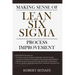 Making Sense of Lean Six Sigma Process Improvement