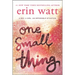 One Small Thing