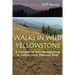 Walks in Wild Yellowstone: A Summer of Solo Backpacking in Yellowstone National Park