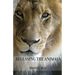 Releasing the Animals