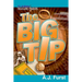 T.J. & Blake Treasure Finders ? The Big Tip
