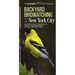 Backyard Birdwatching in New York City