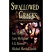 Swallowed By The Cracks