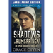 Shadows of Rumspringa: Large Print Edition