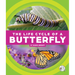 The Life Cycle of a Butterfly