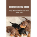 Dachshund Dog Breed: Things About Dachshunds Every Owner Should Know: Can You Breed A Mini Dachshund With A Standard