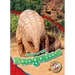 Pangolins