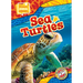 Sea Turtles
