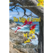 The Edge of Carmel: A Jaden Steele Carmel Mystery