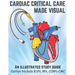 Cardiac Critical Care Made Visual