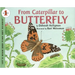 From Caterpillar to Butterfly
