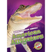American Alligators