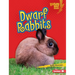Dwarf Rabbits