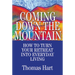 Coming Down the Mountain: How to Turn Your Retreat Into Everyday Living