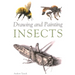 Drawing and Painting Insects