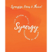 The Seven Minute Synergy Workbook