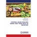 Central Asian Healing Herbs and Their Role in Medicine