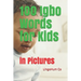 100 Igbo Words for Kids: in Pictures