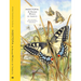Insectopia: The Wonderful World of Insects