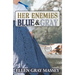 Her Enemies, Blue & Gray