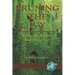 Pruning the Ivy: The Overdue Reformation of Higher Education