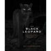 The Black Leopard: My Quest to Photograph One of Africa's Most Elusive Big Cats