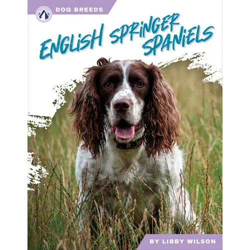 English Springer Spaniels
