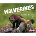 Wolverines: Nature's Cleanup Crew