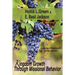 Kingdom Growth Through Missional Behavior: Growing a Relational Congregation