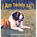 I Am Teddy 24/7
