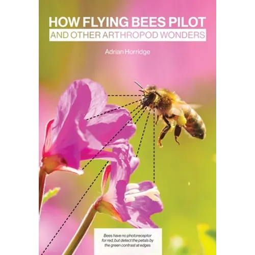 How Flying Bees Pilot, and other arthropod wonders