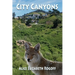 City Canyons