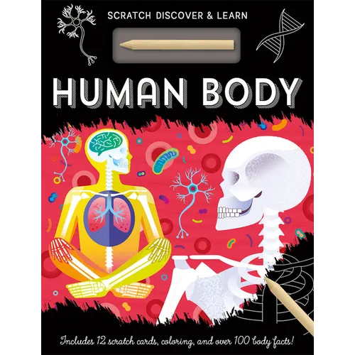 Human Body
