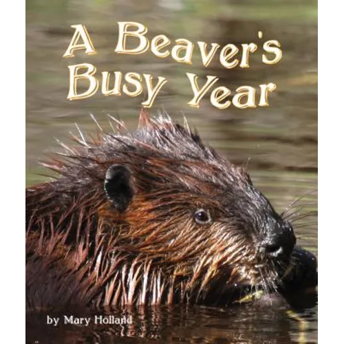 The Beavers' Busy Year